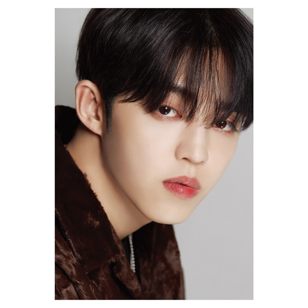 納得できる割引 DICON [全款] : cn.ktown4u.com D'FESTA (S.COUPS)_ SEVENTEEN K-POP/アジア