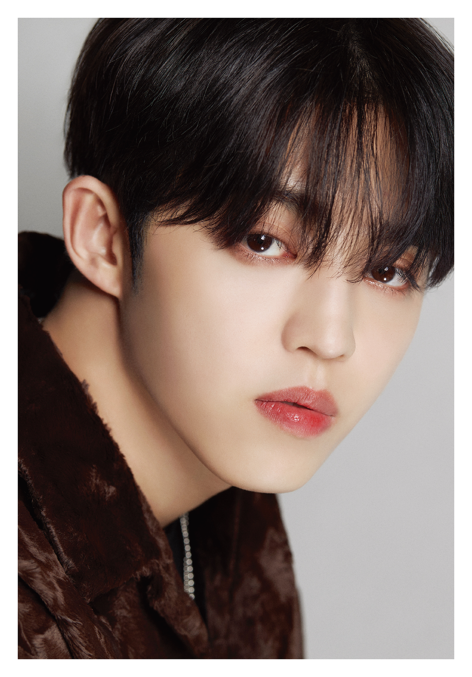 cn.ktown4u.com : [全款] DICON D'FESTA SEVENTEEN (S.COUPS)_