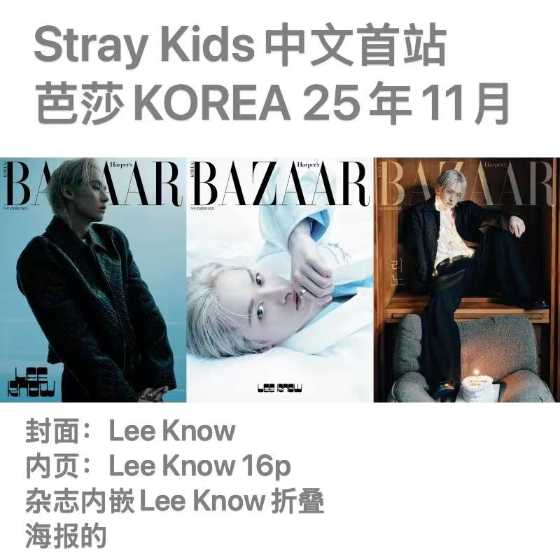 [全款] HARPER'S BAZAAR 2025.11 (封面 : Stray Kids : LEE KNOW / 内页 : Stray Kids : LEE KNOW 16p)_Stray Kids中文首站