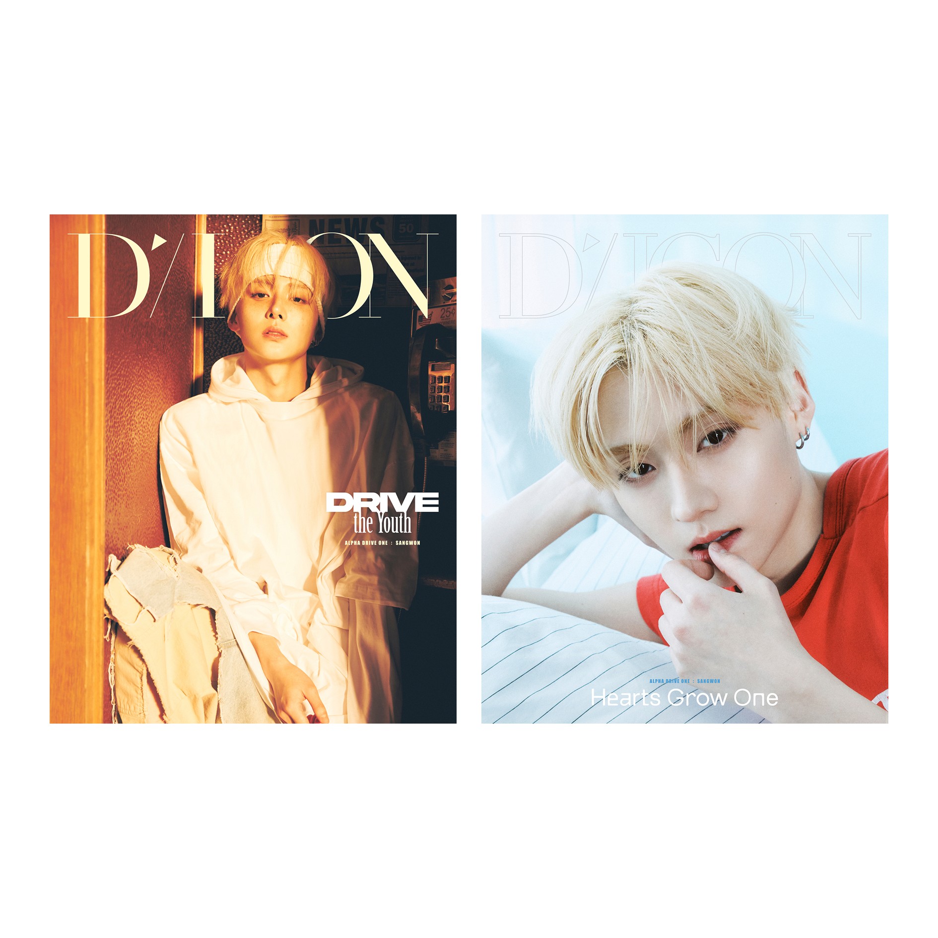 cn.ktown4u.com : fanclub item_[全款] DICON VOLUME N°33 ALPHA DRIVE